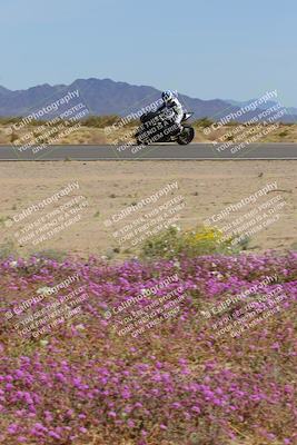 media/Mar-12-2023-SoCal Trackdays (Sun) [[d4c8249724]]/Turn 15 Inside Bloom (130pm)/